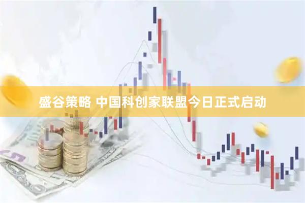 盛谷策略 中国科创家联盟今日正式启动