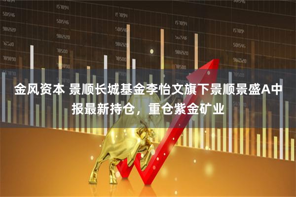 金风资本 景顺长城基金李怡文旗下景顺景盛A中报最新持仓，重仓紫金矿业