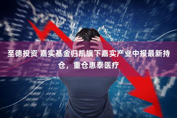 至德投资 嘉实基金归凯旗下嘉实产业中报最新持仓，重仓惠泰医疗
