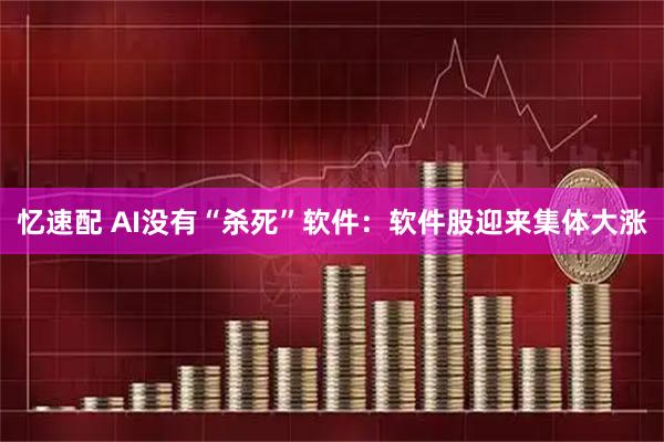 忆速配 AI没有“杀死”软件：软件股迎来集体大涨