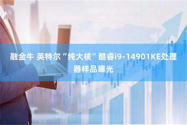 融金牛 英特尔“纯大核”酷睿i9-14901KE处理器样品曝光