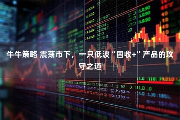 牛牛策略 震荡市下，一只低波“固收+”产品的攻守之道