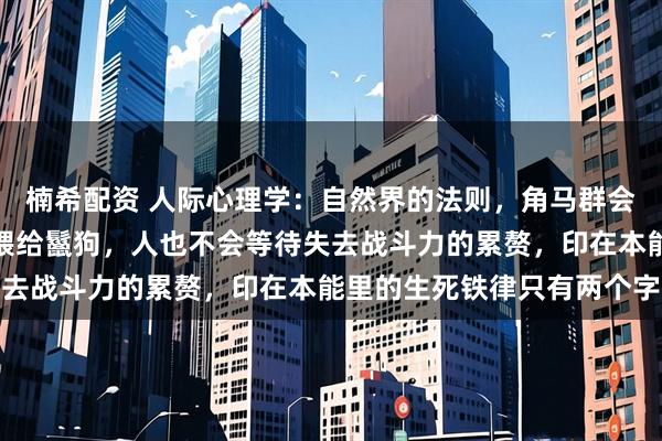 楠希配资 人际心理学：自然界的法则，角马群会把掉队的老马抛在草原喂给鬣狗，人也不会等待失去战斗力的累赘，印在本能里的生死铁律只有两个字